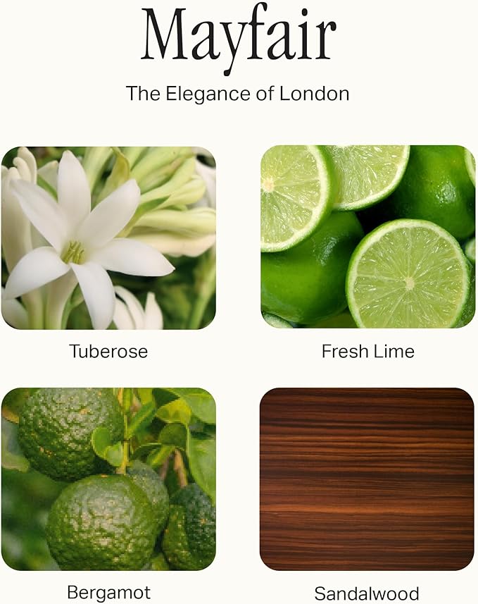 The Deluxe 3-Wick Candle, Scented Candle with Vegan, Soy Wax Blend, Mayfair, 24 Oz