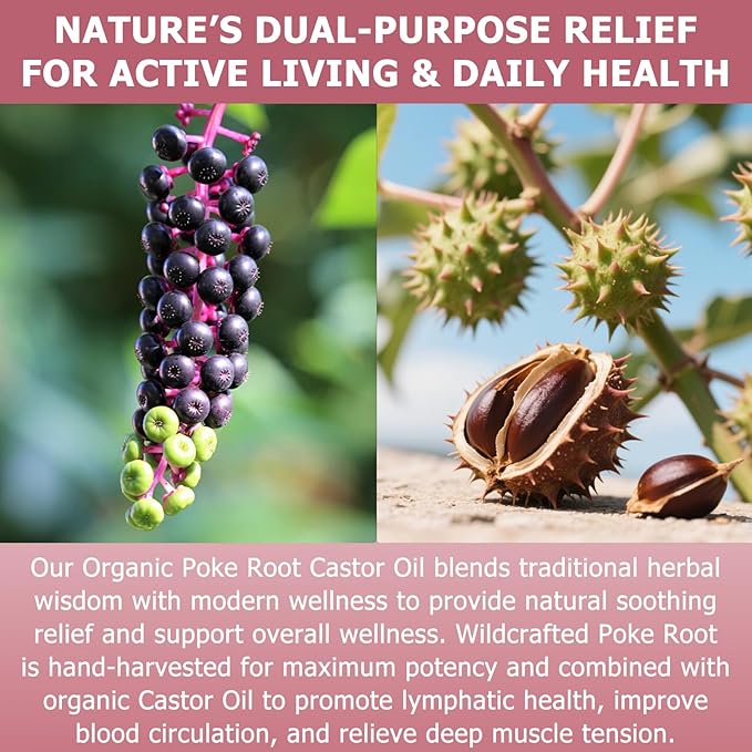 Poke Root Castor Oil Organic – 1 fl oz (30ml) Natural Lymphatic Support Massage Oil, Soothing Relief for Cysts, Boils, Breast, Fibroids, Swollen Lymph Nodes & Joint – Deep Tissue Drops
