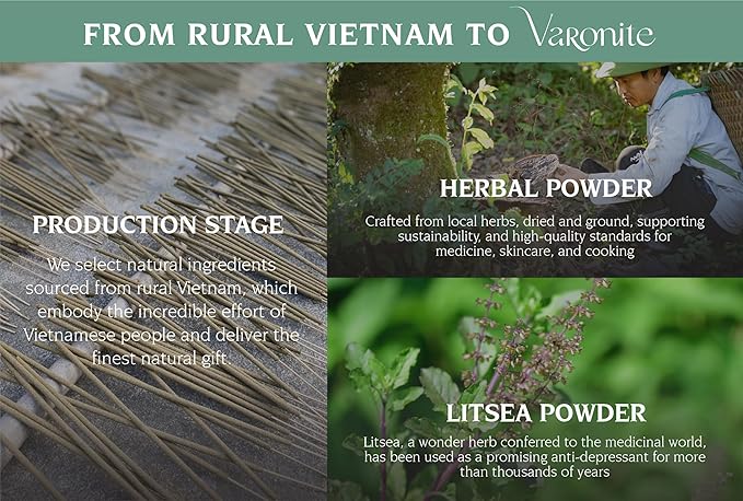 Mystical Guide Incense Sticks Variety Pack of 6 (120 Insence-Sticks) with Holder: Patchouli, Lavender, Sandalwood, Cinnamon, Lemongrass, Sage Inscents-Stick, Organic Incense Stick Non Toxic