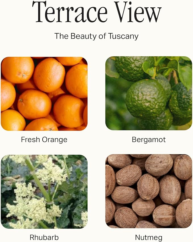 The Deluxe 3-Wick Candle, Scented Candle with Vegan, Soy Wax Blend, Terrace View, 24 Oz