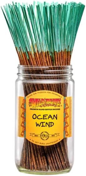Wild Berry Incense Sticks - Ocean Wind - Hand Dipped in The USA (100 Count) (Ocean Wind)