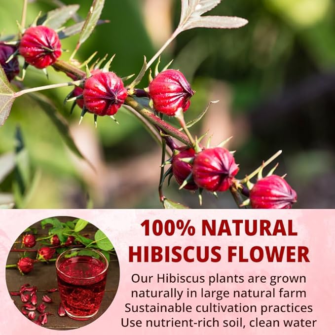 VIDA FARM 100 Hibiscus Tea Bags, 100% Natural Dried Hibiscus Flowers Tea Bags, No Sugar, No Caffeine, No Gluten