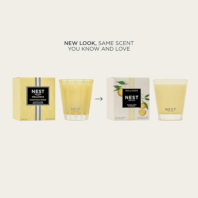 NEST New York Scented Classic Candle, Sunlit Yuzu & Neroli - 8.1 oz - Up to 60-Hour Burn Time - Reusable Glass Vessel