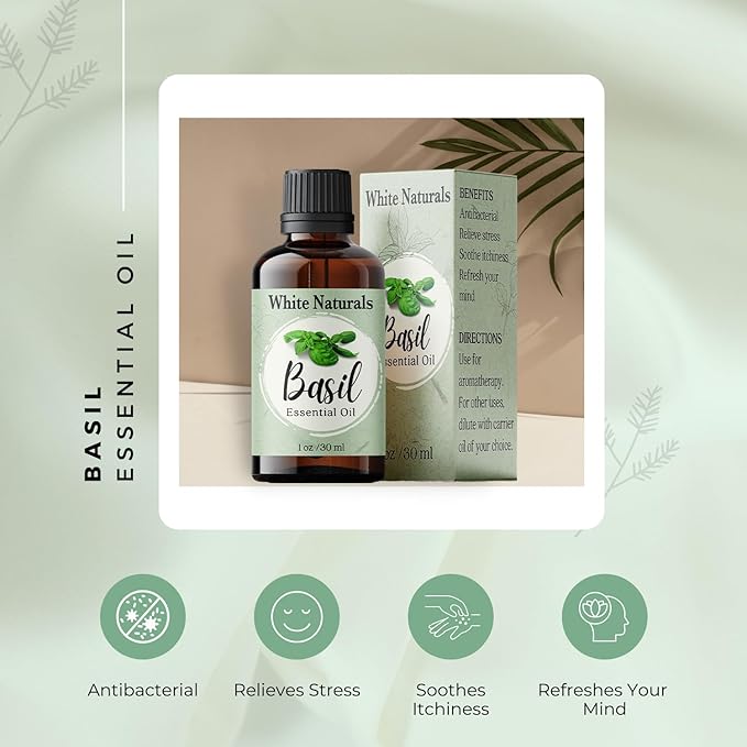 Basil Essential Oil,100% Pure & Natura, Therapeutic Grade Basil Oil for Aromatherapy, Great for Skin, Massage, Diffuser Candle & Soap Making, Plant Therapy 1 oz Bottle with Dropper
