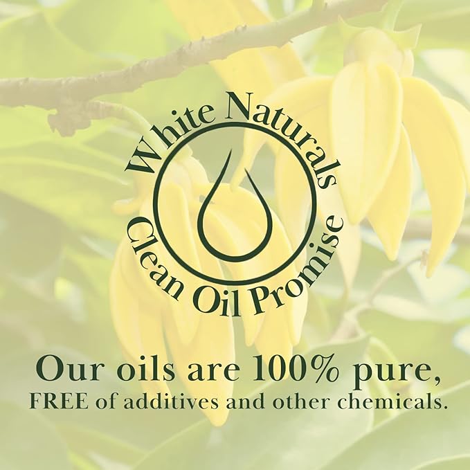 Organic Ylang Ylang Essential Oil - 100% Pure & Natural -Premium Therapeutic Grade with Premium Glass Dropper - Undiluted Natural/Homeopathic Aromatherapy Scented, Great for DIY Soap Making, Massage