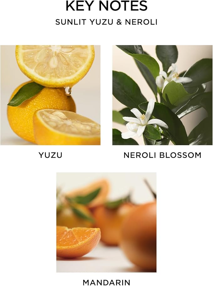 NEST New York Scented Classic Candle, Sunlit Yuzu & Neroli - 8.1 oz - Up to 60-Hour Burn Time - Reusable Glass Vessel