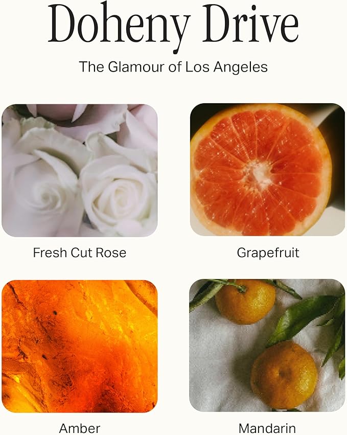 The Deluxe 3-Wick Candle, Scented Candle with Vegan, Soy Wax Blend, Doheny Drive, 24 Oz