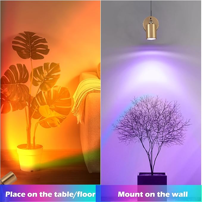 2 Pack LED Spot Lights Indoor Spot Lights Accent Lighting, RGBW Color Changing Up Lights Indoor Remote Control Plant Spotlight
