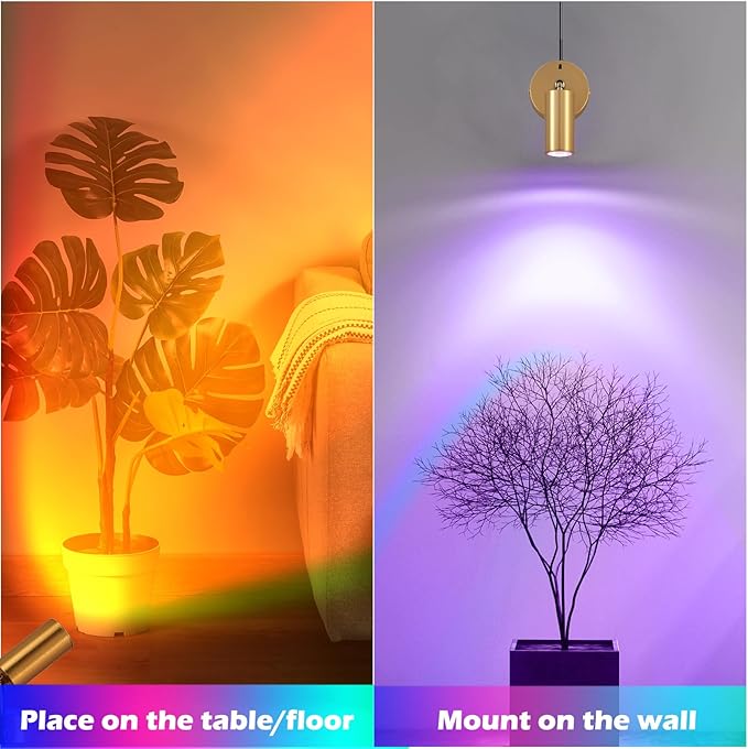 2 Pack LED Spot Lights, 5W RGBW 16 Color Changing Up Lights, Indoor Accent Lighting, Remote Control Plant Spotlight Decorative Lights