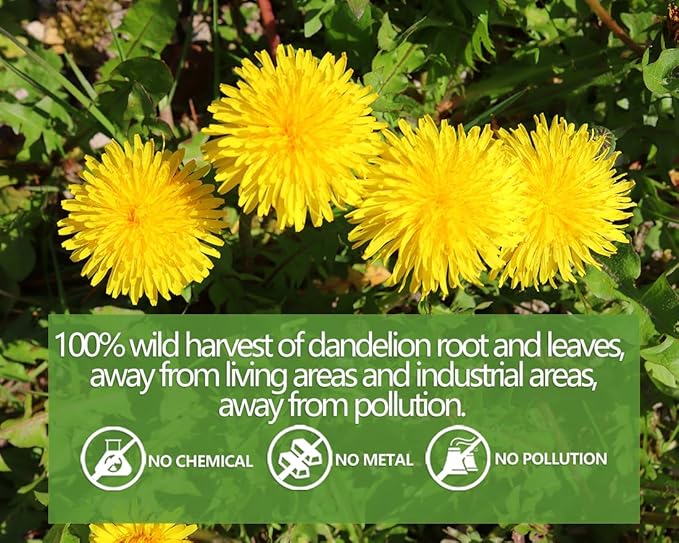 Premium Dandelion Leaf & Root Tea,100 Tea Bags/7.06Oz,for Liver & Kidney Health,Roasted Detox Herbal Tea. Support Digestion & Boost Immune System, Caffeine Free.