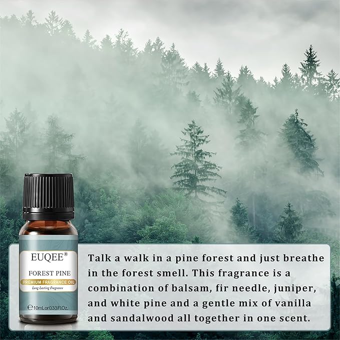 Nature Air Premium Grade Scented Oils Gift Set - Sea Breeze, Forest Pine, Bamboo & Teak, Cedarwood, Sandalwood, Freesia (10ml)
