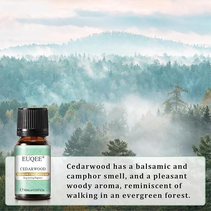 Nature Air Premium Grade Scented Oils Gift Set - Sea Breeze, Forest Pine, Bamboo & Teak, Cedarwood, Sandalwood, Freesia (10ml)