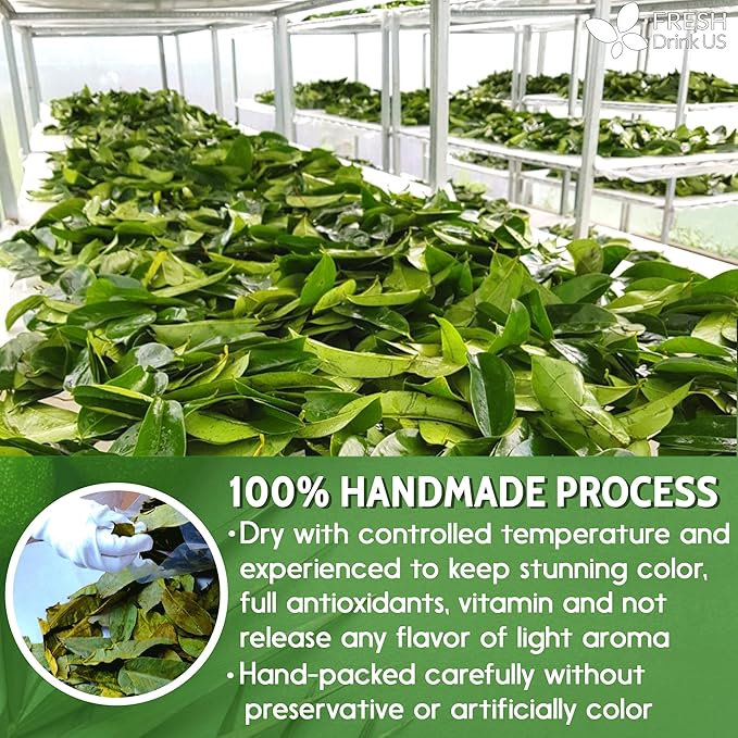 FreshDrinkUS, 120+ Premium Soursop Graviola Dried Leaves Tea, 40 Cups, 120-130 Natural Leaves, Whole Leaves, Wildcrafted, Graviola, Hoja Guanabana, Soursop Loose Leaf Herbal Tea, No Gluten, Vegan