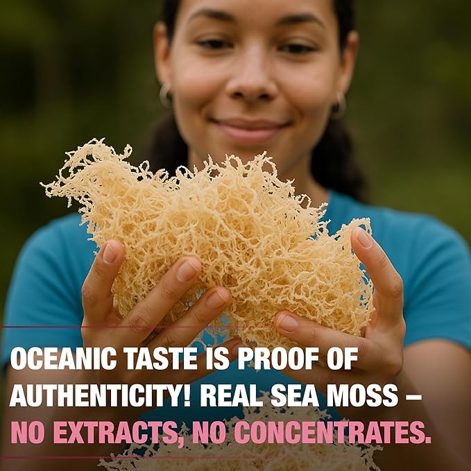Biolore Sea Moss Gel - Elderberry 16oz, Wildcrafted Irish Seamoss with Essential Vitamins & Trace Minerals, Vegan Superfood Made in USA