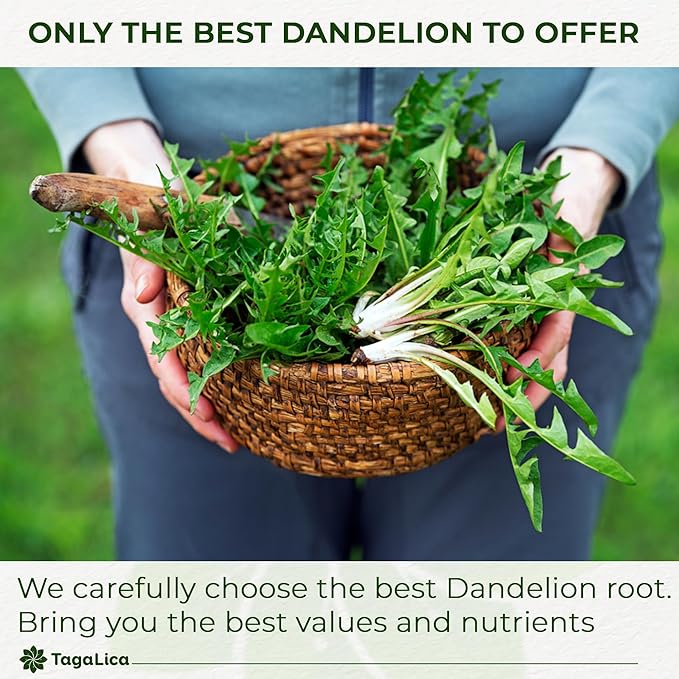 TagalicaTa Premium 55 Dandelion Root Tea Bags - 100% Natural & Pure, Eco-Conscious, Herbal Tea - No Sugar, No Caffeine, No Gluten, Vegan