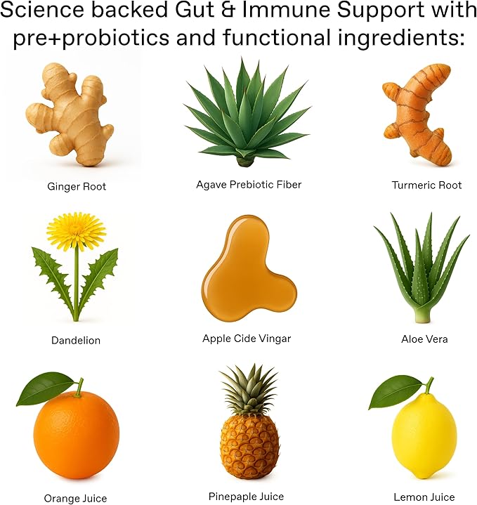+GNGR Gut Health Booster + Colon Cleanse, Apple Cider Vinegar Shot with Ginger, Prebiotic Fiber, Aloe Vera, Probiotics, Dandelion, Turmeric, Ginger Shot for Immunity & Digestion 2 Oz, Pack of 12