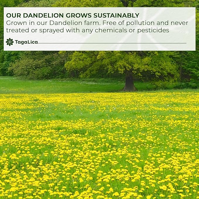 TagalicaTa Premium 55 Dandelion Root Tea Bags - 100% Natural & Pure, Eco-Conscious, Herbal Tea - No Sugar, No Caffeine, No Gluten, Vegan