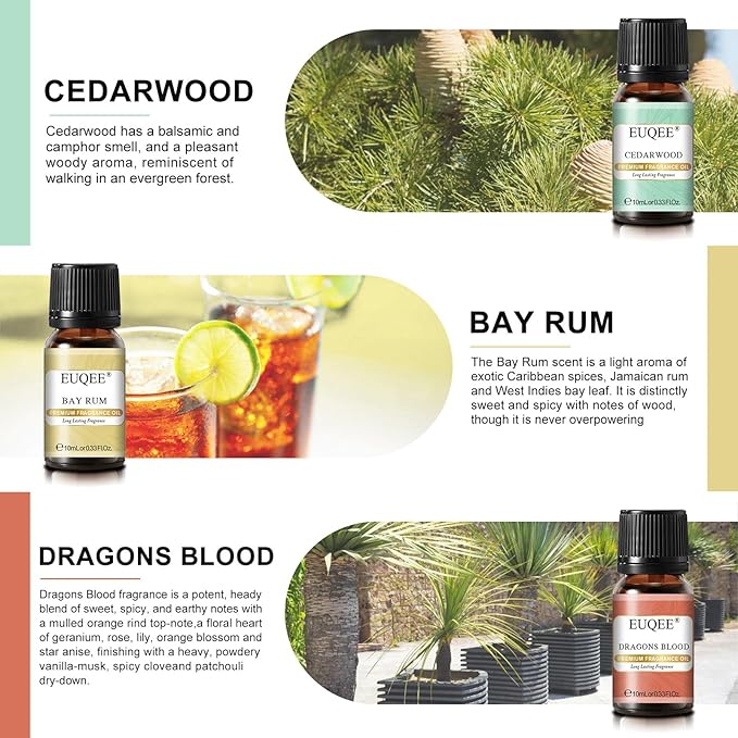 6PCS Fragrance Oils for Men, Men's Pubs Gift Set Premium Fragrance Oils -10ml-Leather, Sweet Tobacco（New Name-Honeyed Haze）, Dragons Blood, Sandalwood, Bay Rum, Cedarwood (Men's Pubs)