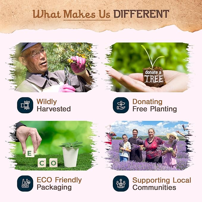 9 pcs Wildly Harvested - White Sage Incense Sticks, 7" Long - Thick Aromatic Incense Sticks (45-55 min Burning Time) to Neutralize Negative Energies & Harmonizing Spaces