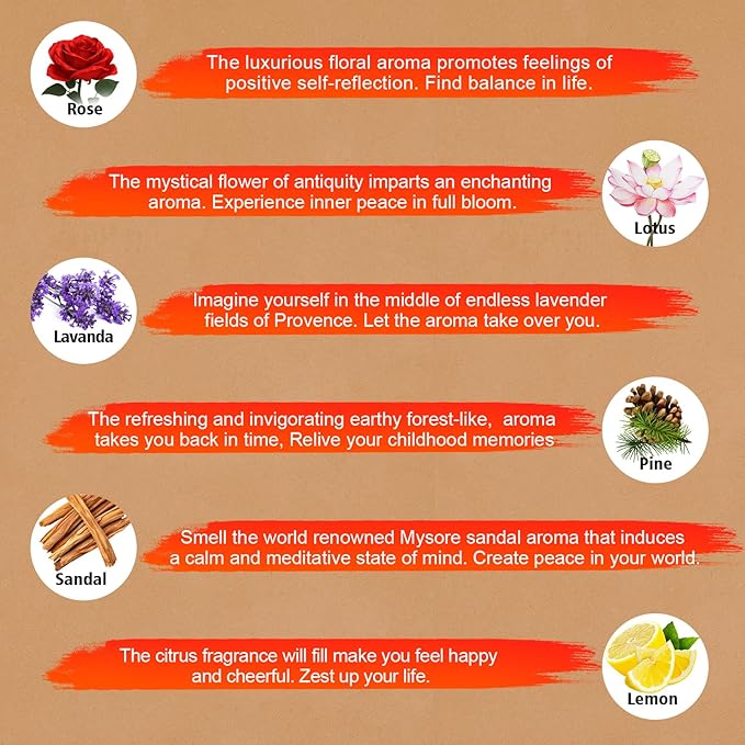 Incense Sticks Variety Pack-240 Insence-Sticks (12Incents x 20 Insense) -White Sage Palo Santo Dragons Blood Sandalo-Natural Inscents-Sticks Non Toxic Cleansing Incienso＋Slow Burning Inscents