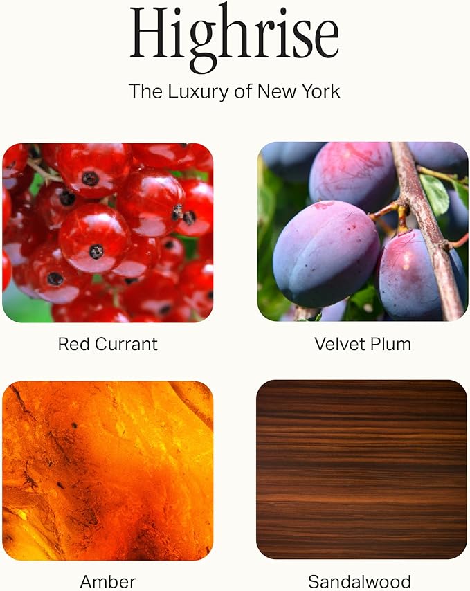 The Deluxe 3-Wick Candle, Scented Candle with Vegan, Soy Wax Blend, Highrise, 24 Oz