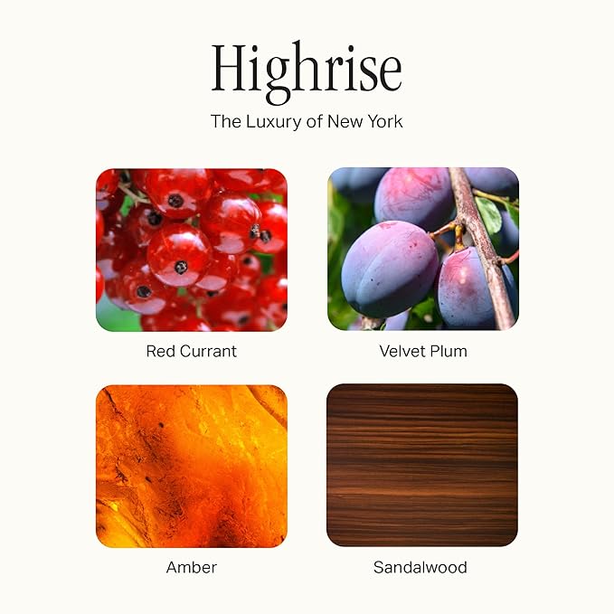 The Scented Candle, Luxury Candle with Vegan, Soy Wax Blend, Highrise, 7.5 Oz