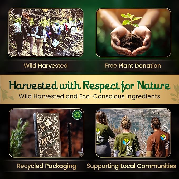 Handmade Rue, Rosemary Incense Sticks - 8 Frankincense Incenses (Each 9’’ Long) with Natural Ingredients for Spiritual Cleansing, Protection, & Balance - 1 Hour Burn Time