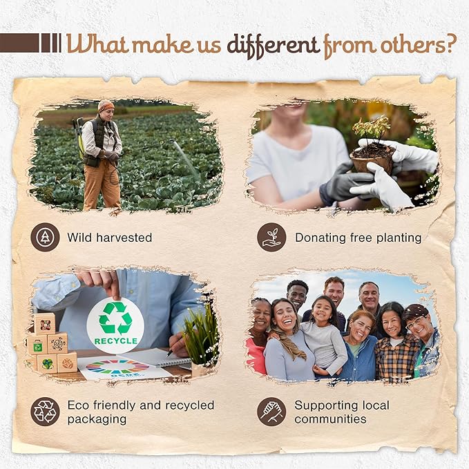 8 pcs Wildly Harvested Thick - Natural Copal Incense Sticks, 9” Long - Eco Friendly, Aromatic Non Toxic Incense Sticks (1hr Burning Time) to Heal & Purify Your Body and Surroundings