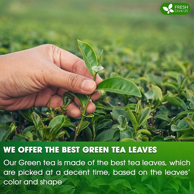 FreshDrinkUS, Premium 120 Green Tea Bags, 100% Natural & Pure from Green Tea. Green Herbal Tea. Made with Natural Material Tea Bags. No Sugar, No Gluten, Vegan