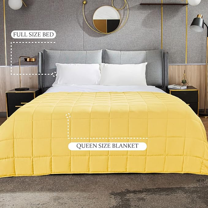 CYMULA Weighted Blanket for Adults (15lbs 60"x80" Queen Size) - Cooling Breathable Heavy Blankets for Summer Winter - Ultra Microfiber Soft Comfort Throw with Glass Beads - Gifts for Men/Women