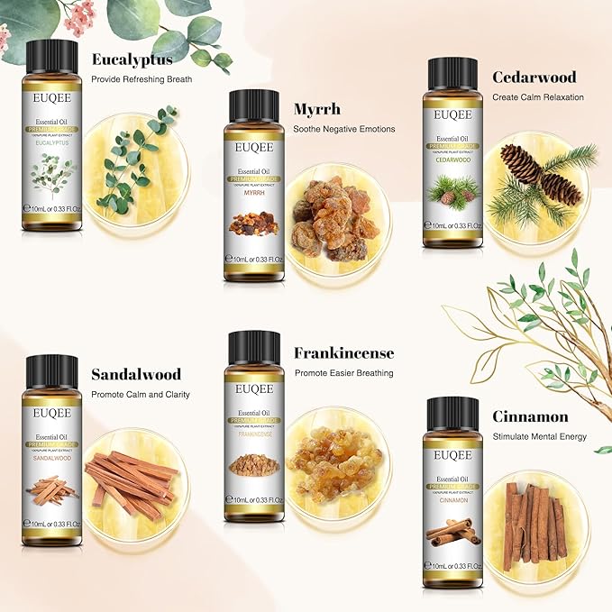 10ml Woody Essential Oils Set - Pure & Nature Essential Oils for Aromatherapy, Diffuser, Candle Making, Massage - Eucalyptus, Cedarwood, Sandalwood, Frankincense, Cinnamon
