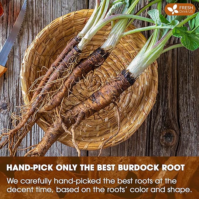 FreshDrinkUS Premium Burdock Root Tea Bags, 100% Natural & Pure. Burdock Herbal Tea, Made with Natural Material Tea Bags. No Sugar, No Caffeine, No Gluten, Vegan